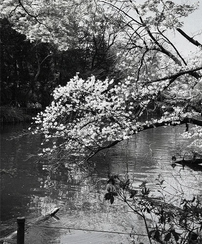 PREEK 2026 SPRING / SUMMER COLLECTION LOOK