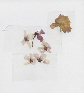 PREEK 2026 SPRING / SUMMER COLLECTION LOOK